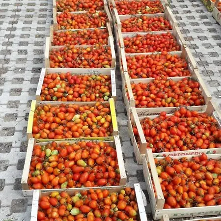 Frühstückspension Sunset 4*