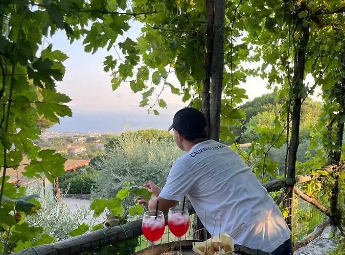 Sunset Bed and breakfast