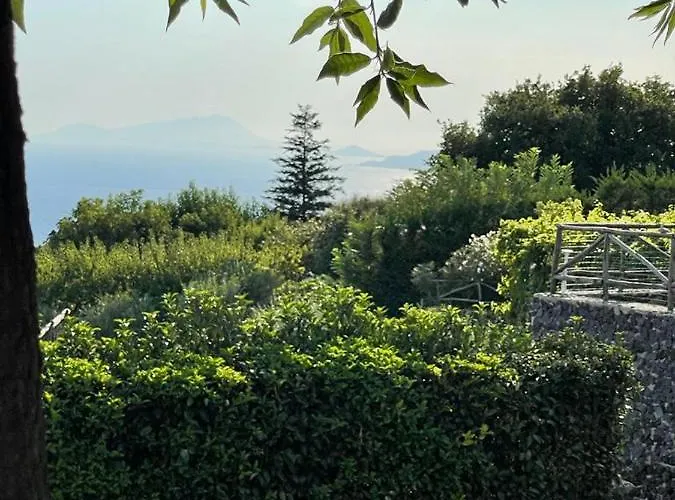 Sunset Bed and breakfast 4*