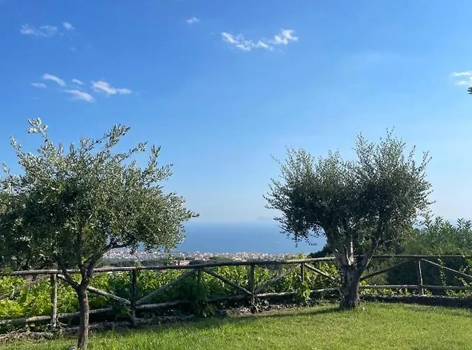 Bed and breakfast Sunset