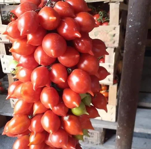 Sunset Bed and breakfast 4*