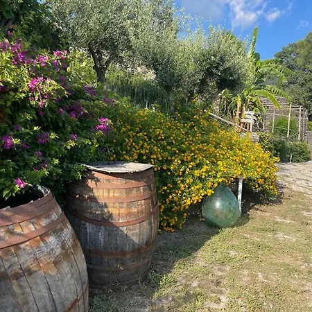 Sunset Bed & Breakfast Ercolano