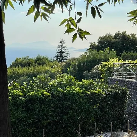 Sunset Bed & Breakfast 4*