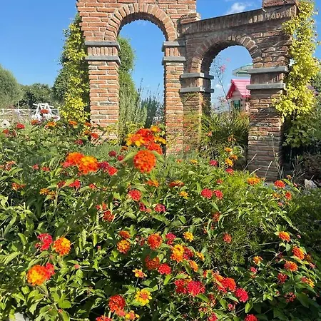 Bed & Breakfast Sunset 4*