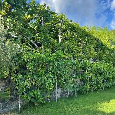 Sunset Bed & Breakfast 4*