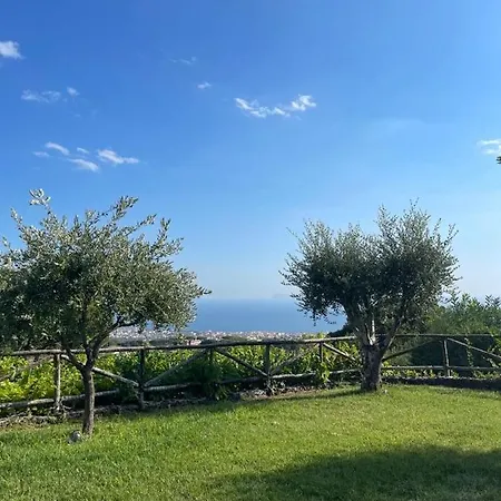 Bed & Breakfast Sunset