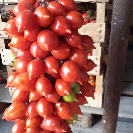 Sunset Bed & Breakfast 4*