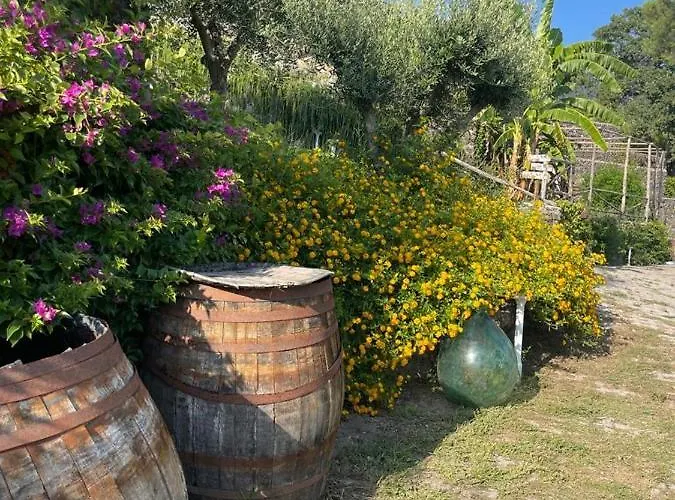 Sunset Bed & Breakfast Ercolano