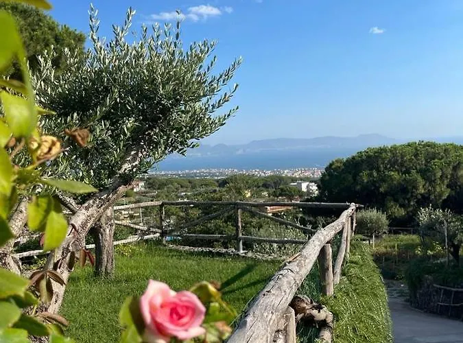 Bed & Breakfast Sunset 4*