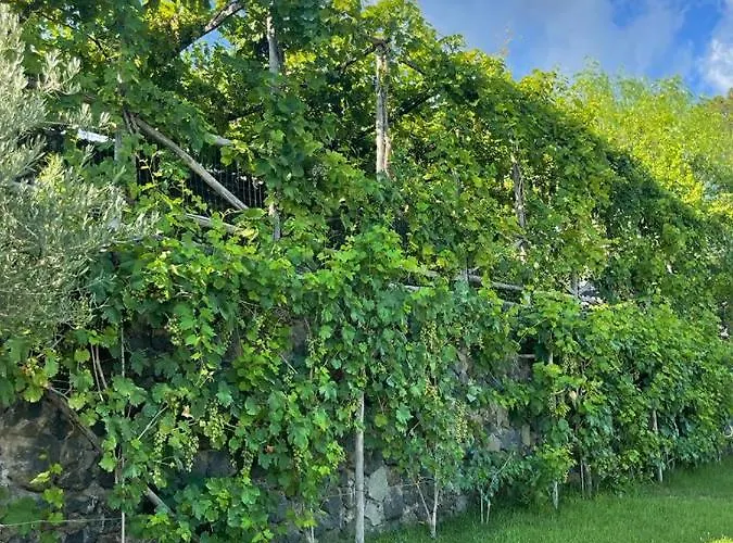 Sunset Bed & Breakfast 4*